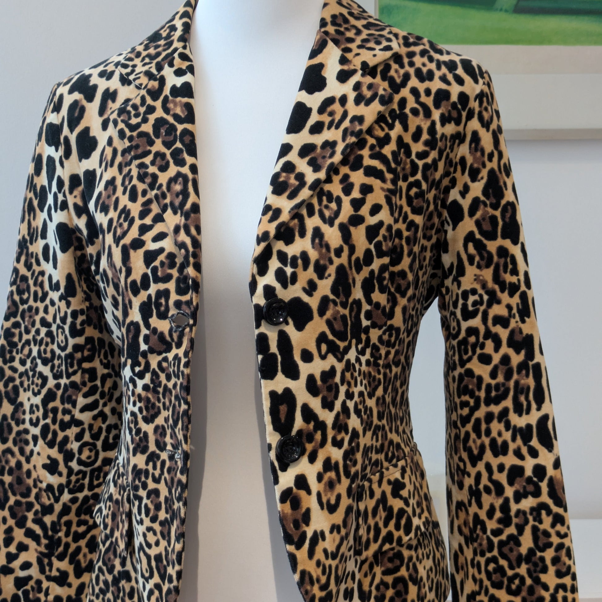 Veste Denny Rose